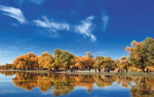 國內白晝最長的省份,太陽晚上九點多才落下,當?shù)厝似毡樗猛? />
</a>
<span><a href=