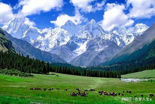 歐洲人毀滅歐洲,西班牙南部沙漠化 當?shù)鼐W友 只有中國人在種樹