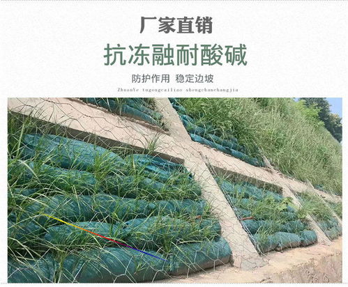 探索新疆烏魯木齊環(huán)保生態(tài)袋的價格與價值